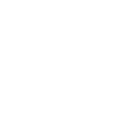 White logo White logo