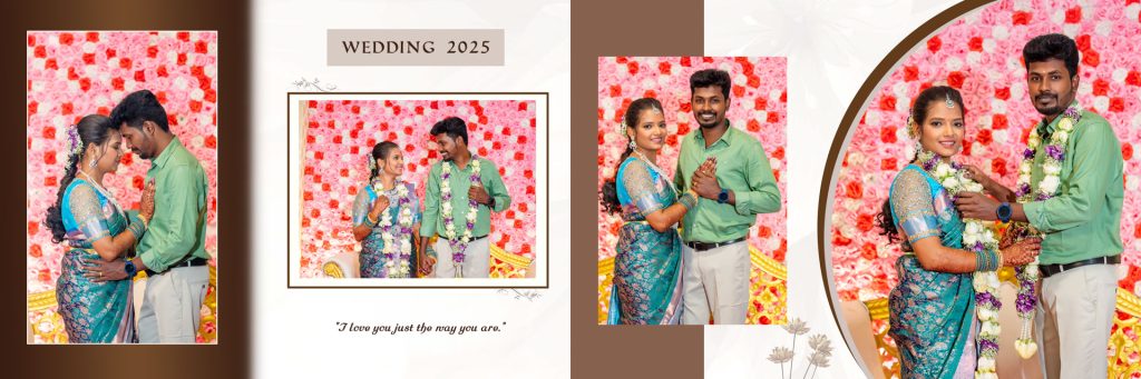 Balaji Wedding_048